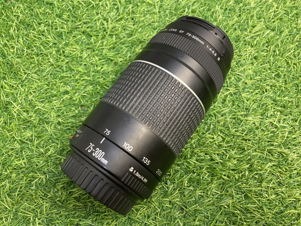 Canon EF 75-300mm 4-5.6 III USM Покупка/Продажа
