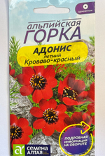 Адонис Кроваво-красный летний 0,2 г СМЦ-543