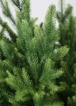 Ель искусственная «Сириус» (Литая хвоя) 185 см / 1,8 м