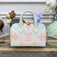 Louis Vuitton Speedy 20