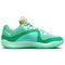 NIKE KD 16 Баскетбольные кроссовки Низкие Бело-зеленые Мужские