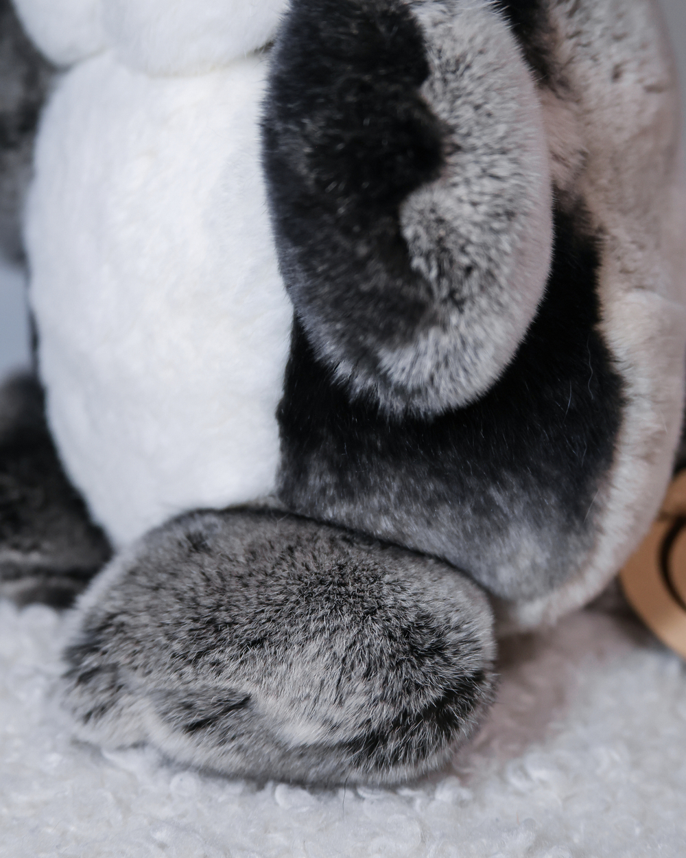 Кот Марсель (черно-шиншилловый) - уникальный окрас