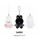 Секретный микро-плюш SKZOO SECRET PLUSH MICRO Ver. – Stray Kids World Tour RUN IT