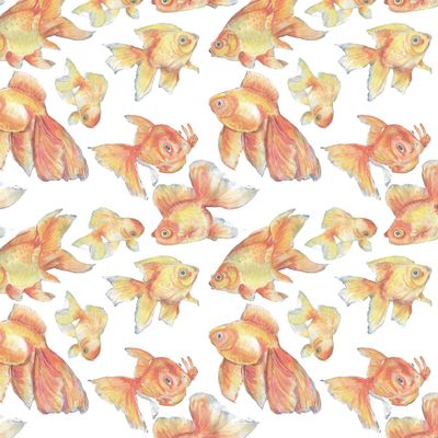 Золотые рыбки.