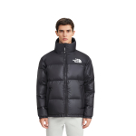 Куртки THE NORTH FACE FW23 Nuptse ON BALL, NJ3NP55B