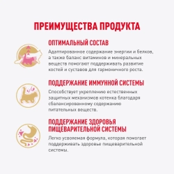 Royal canin kitten maine coon 85 г пауч влажный рацион для кошек породы мейн-кун в возрасте от 3 до 15 месяцев