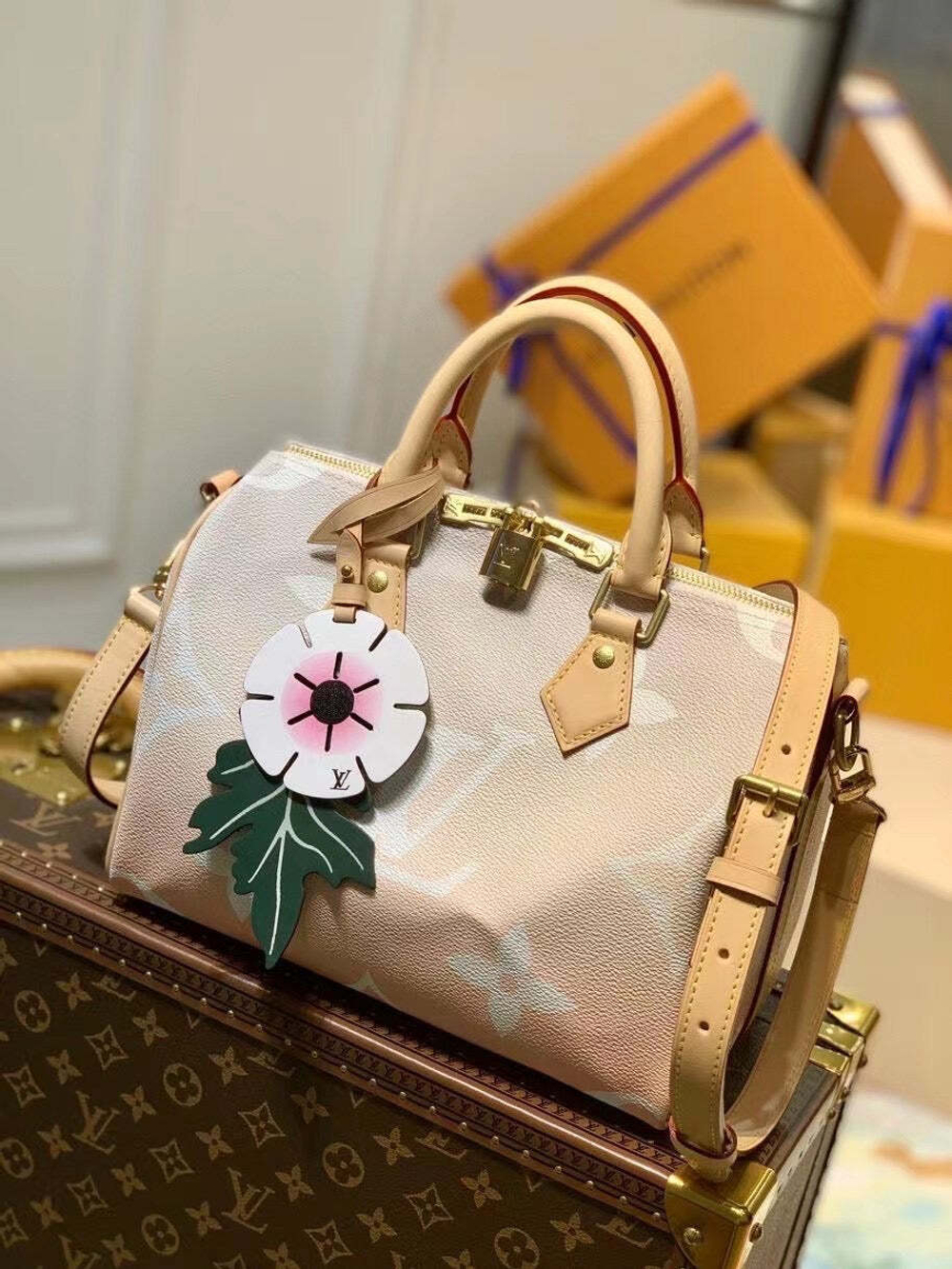 Louis Vuitton Speedy 25