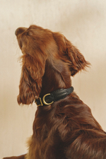 Ошейник "Пони-Макарони" Черный