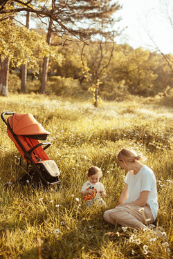 Детская прогулочная коляска Anex AIR-X Ax-01 terracotta