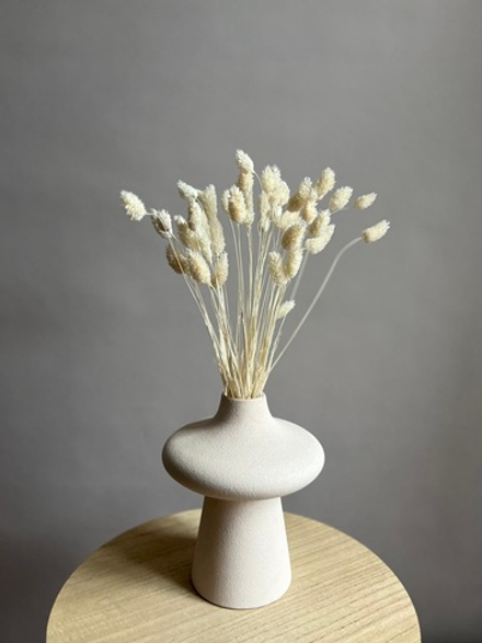 Фаларис белый