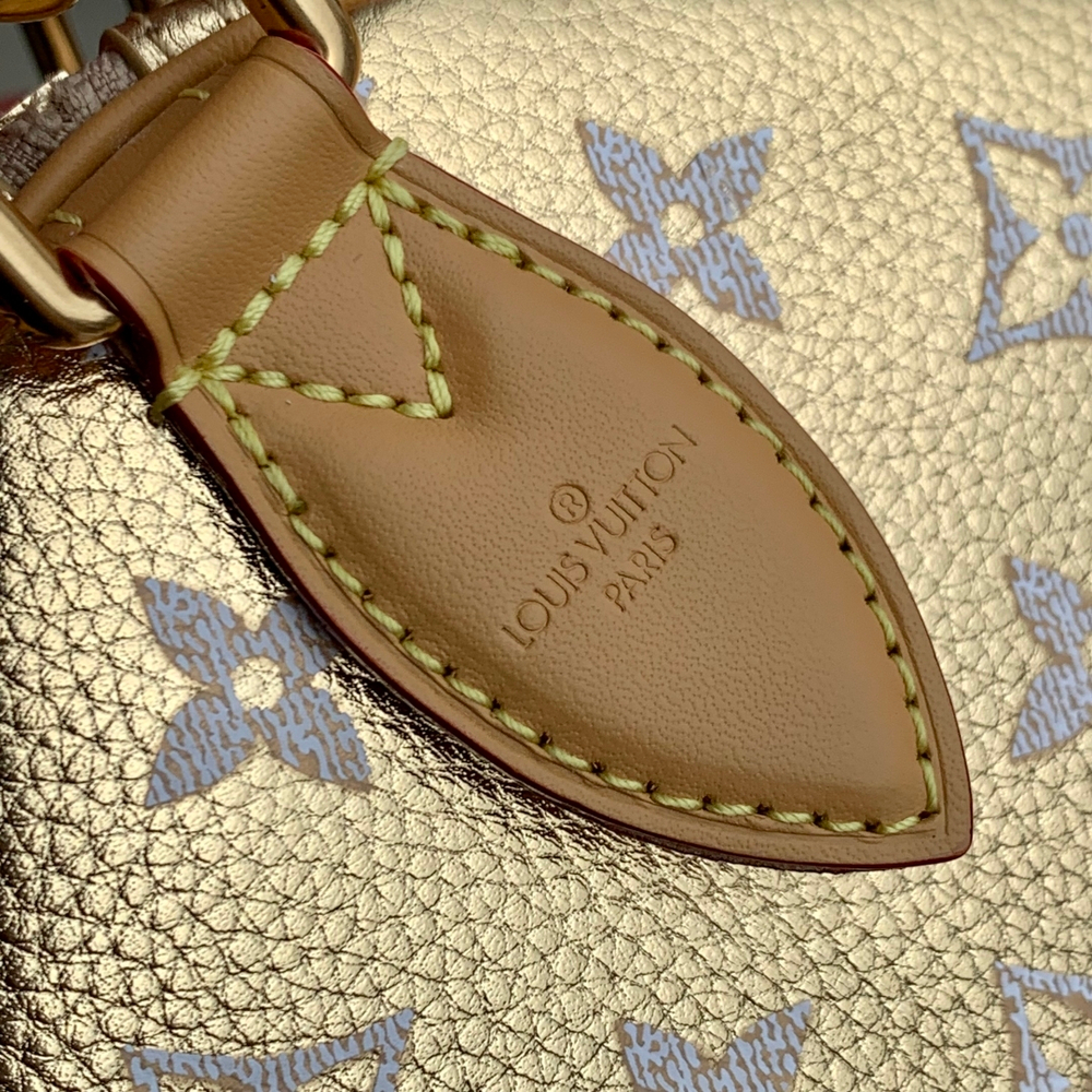 Louis Vuitton Speedy P9 Bandouliere 30