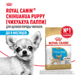 Royal Canin Chihuahua Puppy Корм сухой для щенков породы Чихуахуа до 8 месяцев 0,5 кг