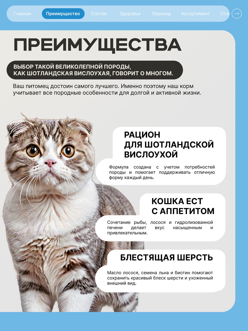 Корм сухой полнорационный для взрослых кошек породы Шотландская вислоухая, с лососем, 5 кг, QUATTRO