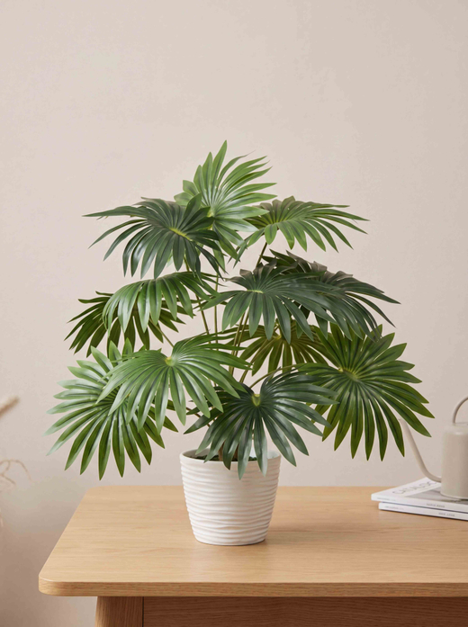 Искусственная Пальма веерная 75см в кашпо