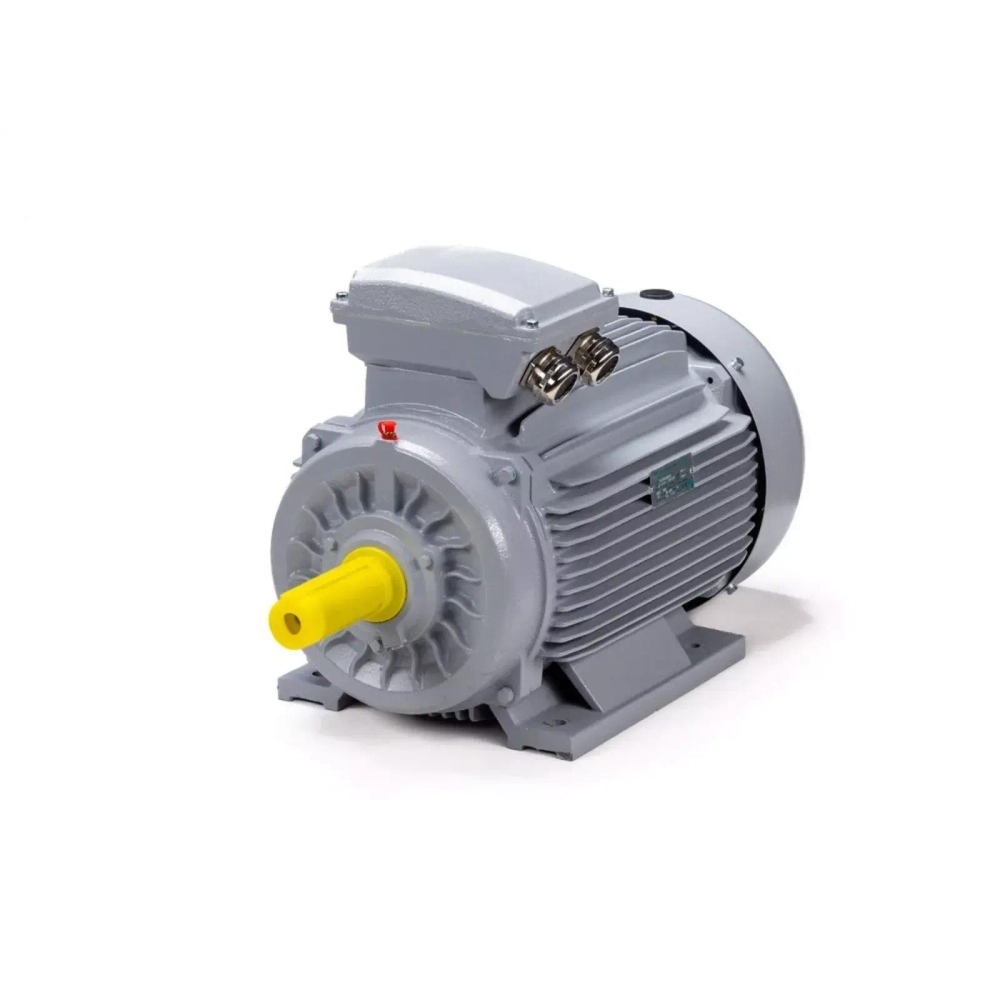 Электродвигатель ESQ PR 160 M6 GST-Б1-S12-IE2 15/1000 IM2001