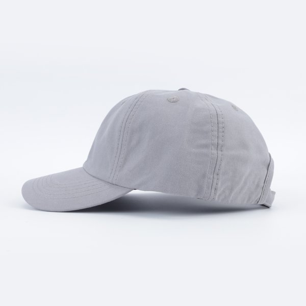 Кепка Anteater 6Panel (grey) артикул: - купить в магазине Дайс