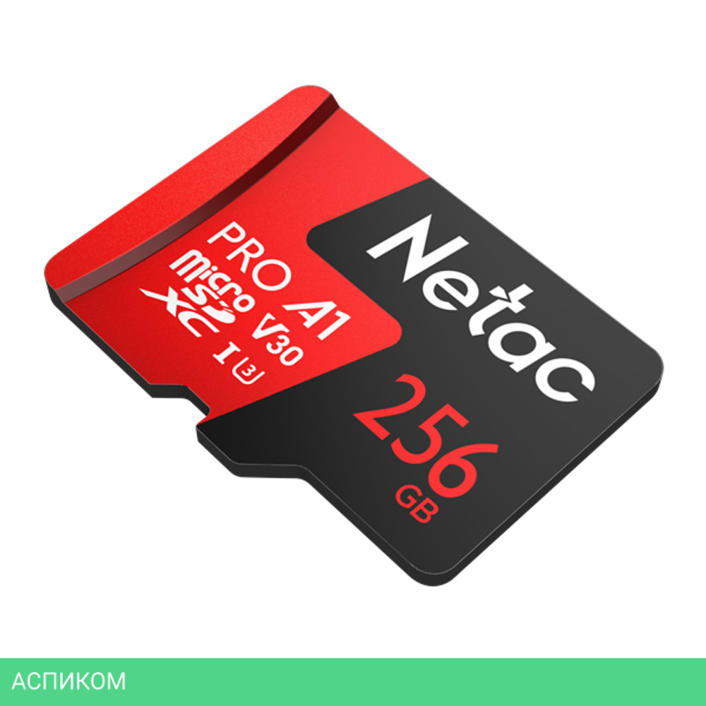 Карта памяти Netac NT02P500PRO-256G-S