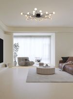 Потолочный светильник Freya FR5242CL-24B