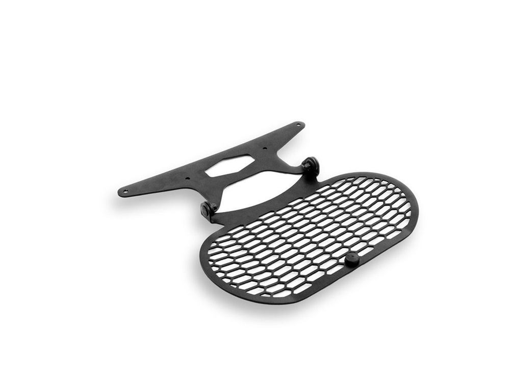 GPF01 DBK HEADLIGHT PROTECTION (DSRT X)