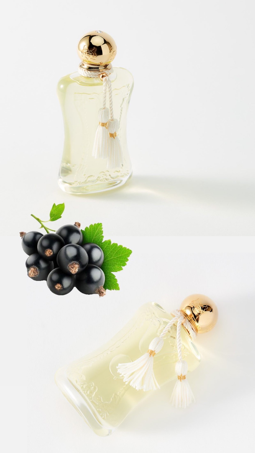 Parfums de Marly Meliora
