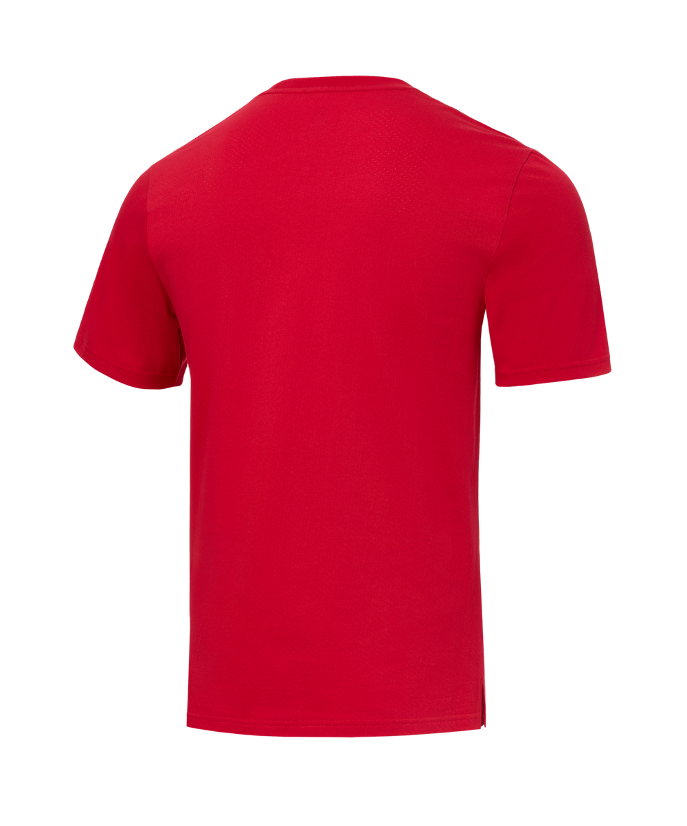 Футболка тренировочная JÖGEL DIVISION PerFormDRY Training CVC R2, красный