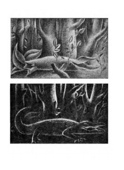 Когда появляются призраки | В.А. Мезенцев