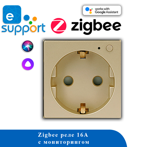 Розетка ZigBee с мониторингом 16А S1F-GD (золотой)