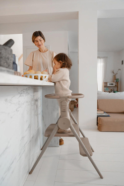 Стул-трансформер для кормления Anex Ozy fluff