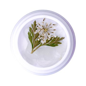 Сухоцветы в круглой баночке №4