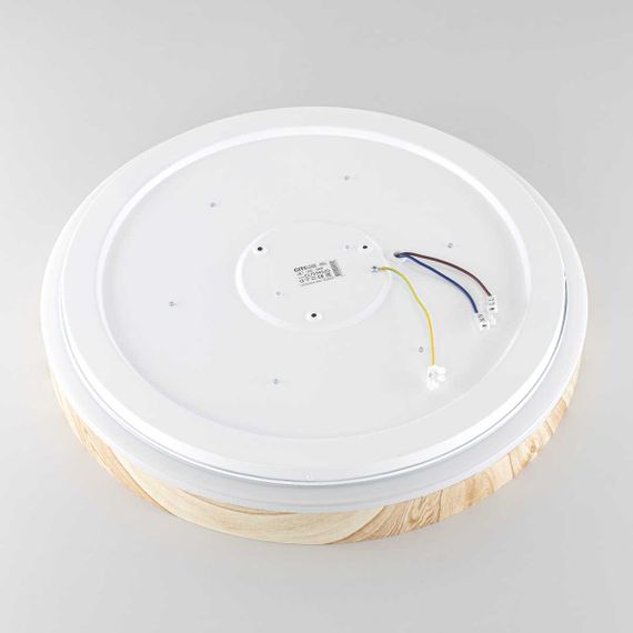 Потолочный светодиодный светильник Citilux Enzo CL753452G