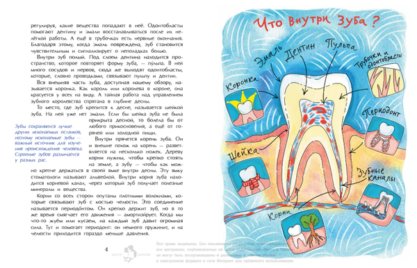 Зубная книжка