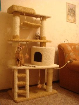 Дом для кошки И-8