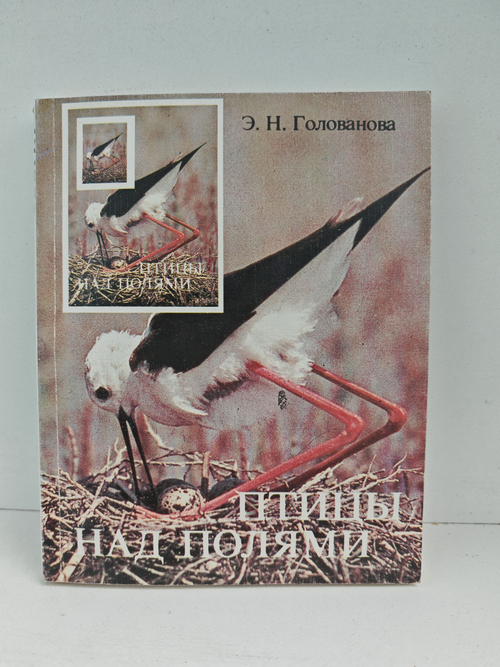 Птицы над полями