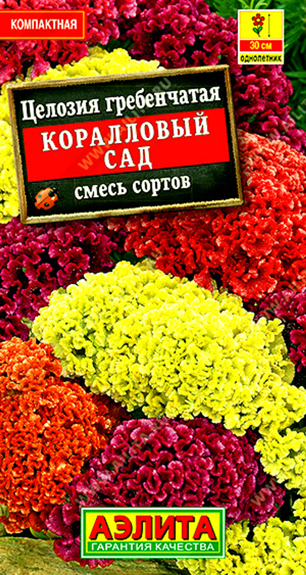 Целозия гребенчатая Коралловый сад, смесь сортов