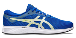 Кроссовки ASICS PATRIOT 11 1011A568-403