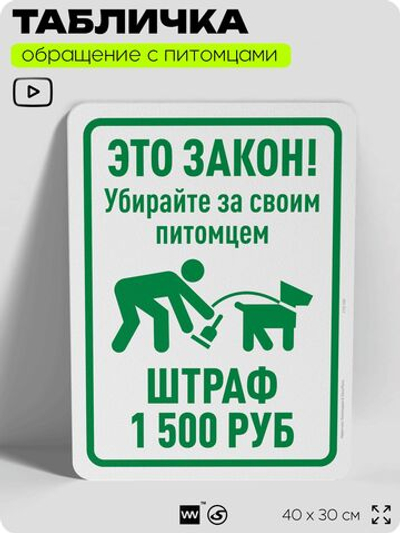 Табличка "Убирайте за своим питомцем, штраф 1500 руб" на дверь и забор, для двора, дома, подъезда, 40х30 см, Silver Plane x Айдентика Технолоджи