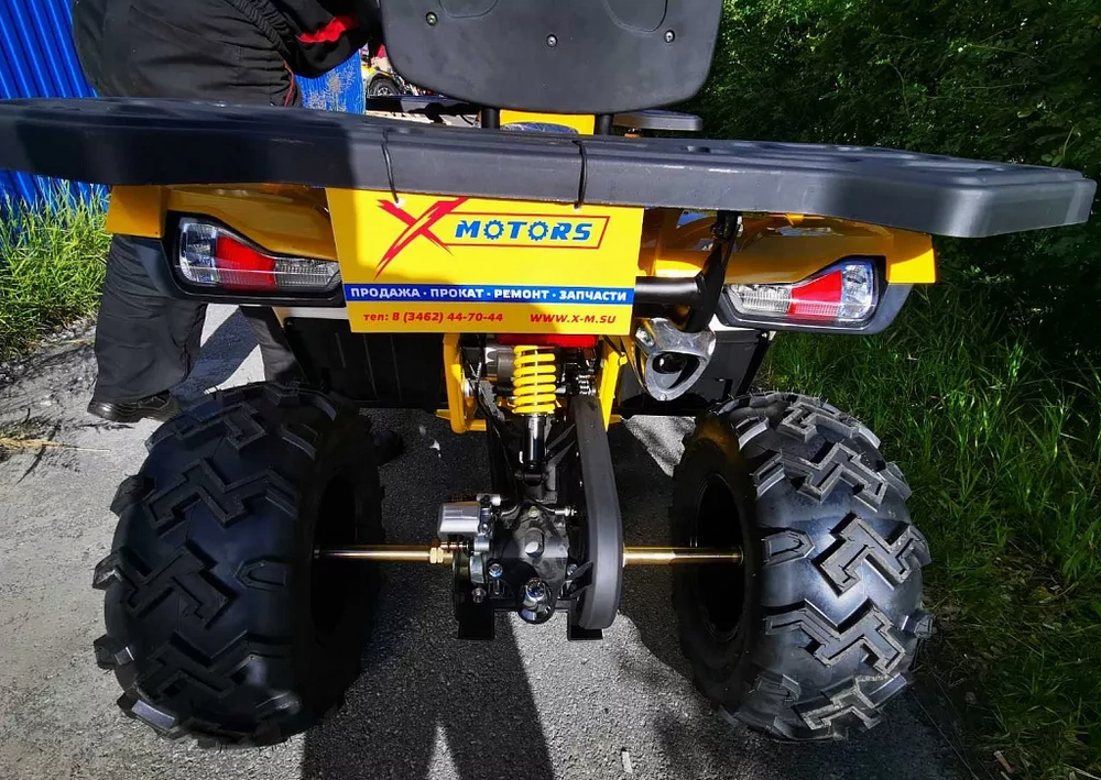 Квадроцикл MOTOLAND (МОТОЛЕНД) 200 WILD TRACK X PRO (баланс. вал)