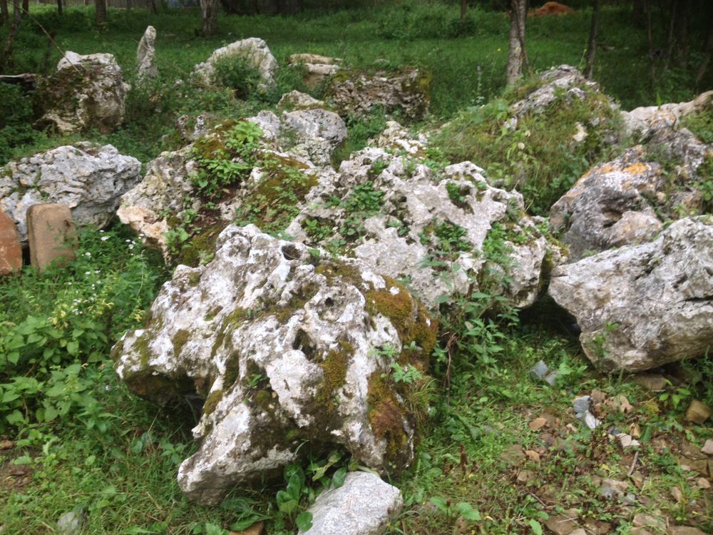 Купить Валун известняк со мхом /тн online с доставкой, цена, фото ...