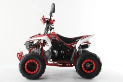Квадроцикл MOTAX MIKRO 110 NEW