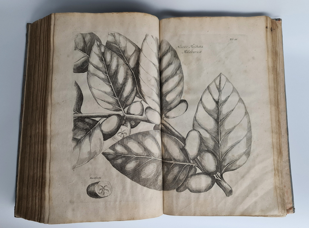 "Museum museorum, oder Vollstandige Schau-Buhne aller Materialien und Specereyen [...] aus andern Material-Kunst und Naturalien Kammern Oost und West-Indischen Reisbeschreibungen". D. Michael Bernhard Valentini. 1714 г.