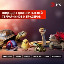 Инфракрасная лампа ЭРА FITO-200W-НQ керамическая серии CeramiHeat модель RX для брудера, рептилий 200 Вт Е27 | Инфракрасные лампы