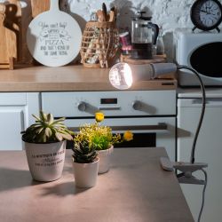 TLI-280 WHITE E27 PLANT Светильник настольный для фитоламп. На прищепке. Цоколь E27. Белый. ТМ ФитоЛето