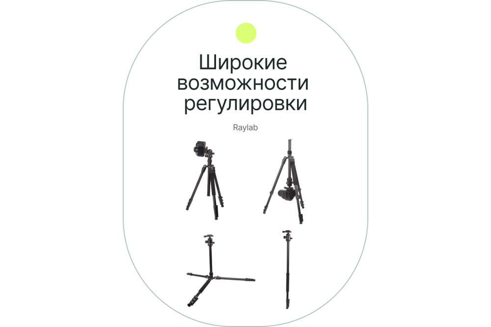 Штатив Raylab Pro 65 алюминиевый сплав (с головой)
