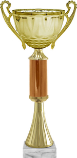 Кубок "Викки"