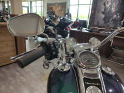 Freewheeler Harley-Davidson 2021 Snake Venom