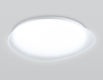 FZ1605 FR матовый IP20 60W 5000K 510*100 (Без ПДУ)