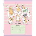 Тетрадь 12 л. BRAUBERG, клетка, обложка картон, "КОРГИ", 106460, 5шт