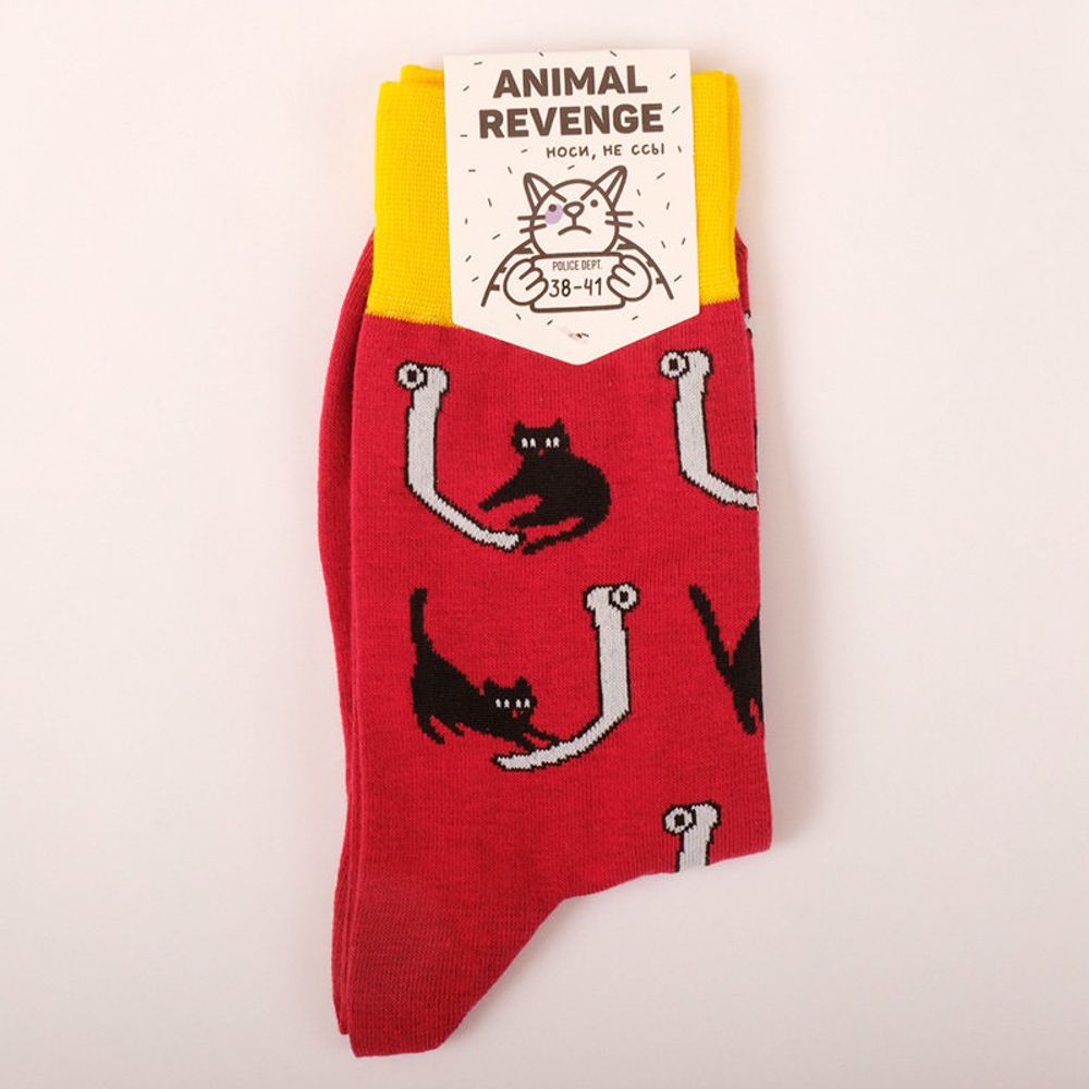 Носки Кошки За Бумажной Работой