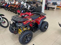 Квадроцикл GBM CROSS HILL 300 NEW PREMIUM