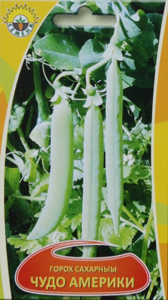 Горох "С. Чудо Америки" 10г., Сербия.